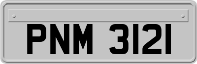 PNM3121
