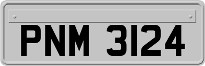 PNM3124