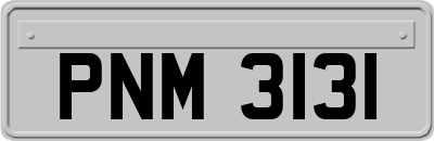 PNM3131