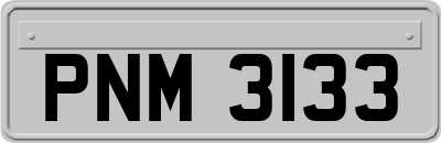 PNM3133