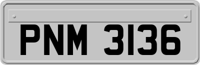 PNM3136