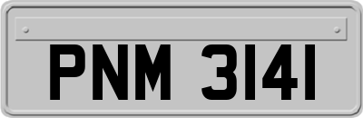 PNM3141