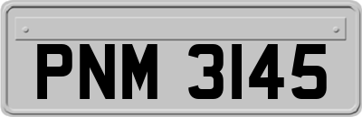 PNM3145