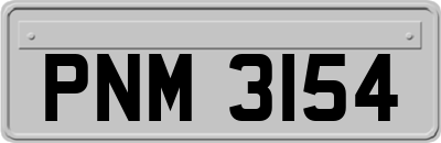 PNM3154