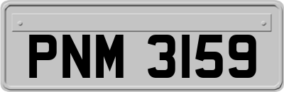 PNM3159