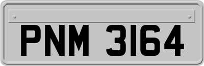 PNM3164