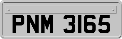 PNM3165