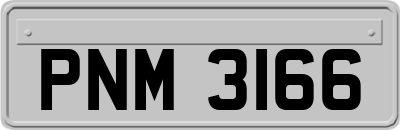 PNM3166