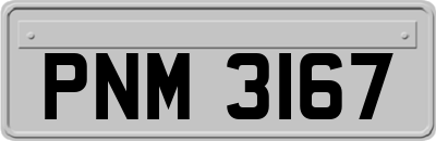 PNM3167