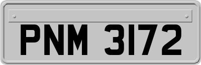 PNM3172