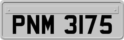 PNM3175