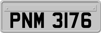 PNM3176