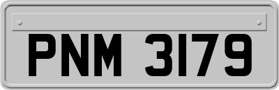 PNM3179