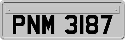 PNM3187