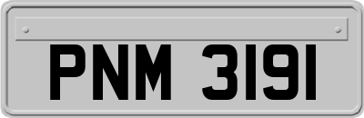 PNM3191