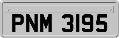 PNM3195
