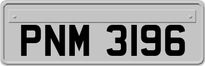 PNM3196