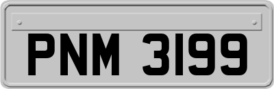 PNM3199