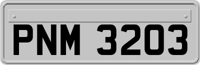 PNM3203