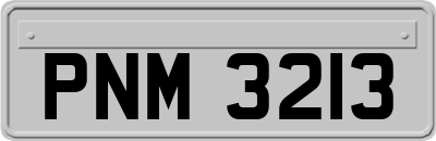 PNM3213