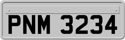 PNM3234