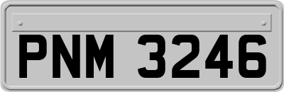 PNM3246