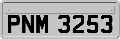 PNM3253