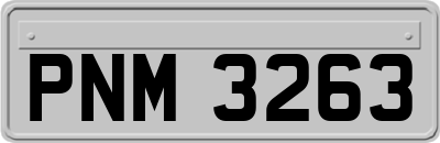 PNM3263
