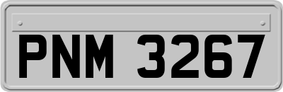 PNM3267