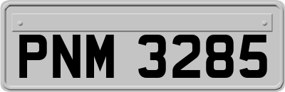 PNM3285