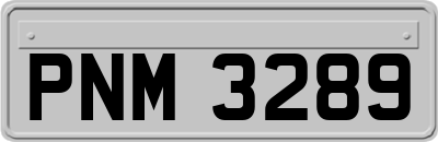 PNM3289