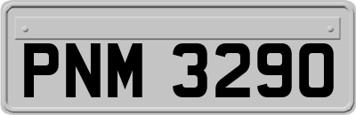 PNM3290
