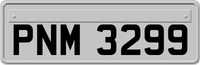 PNM3299