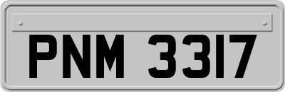 PNM3317