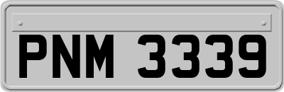 PNM3339