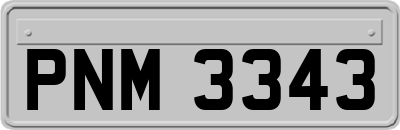 PNM3343