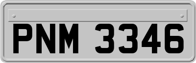 PNM3346