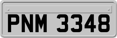 PNM3348