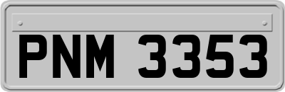 PNM3353