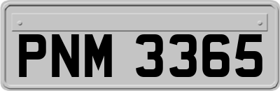 PNM3365