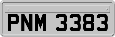 PNM3383