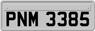 PNM3385