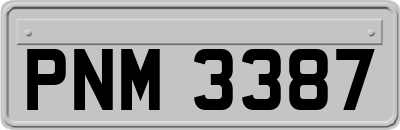 PNM3387