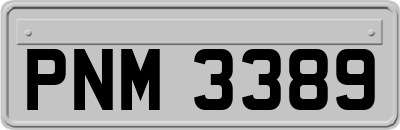 PNM3389