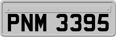 PNM3395