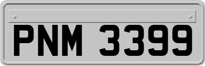 PNM3399
