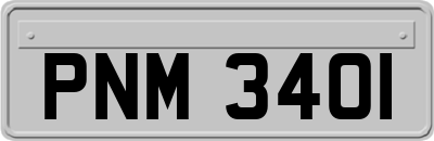 PNM3401
