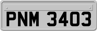 PNM3403