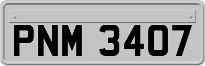 PNM3407