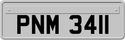 PNM3411